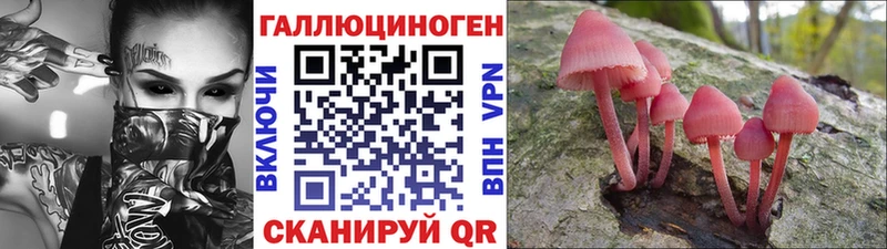 гидра tor  где купить   Солнечногорск  Галлюциногенные грибы прущие грибы 