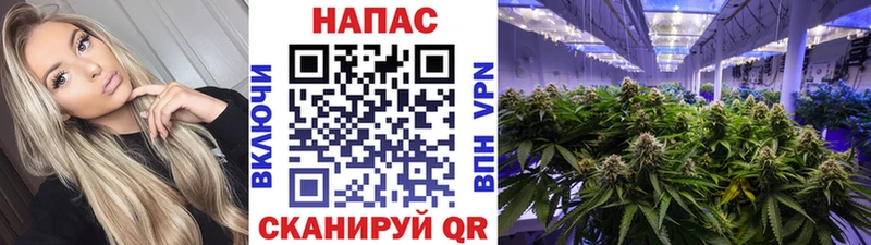 что такое   Солнечногорск  Бошки Шишки конопля 
